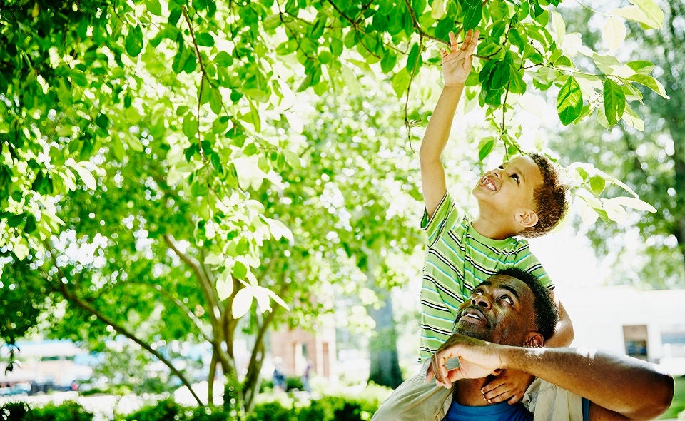 Smiling boy riding on fathers shoulders reaching up towards leaves on tree during walk in park