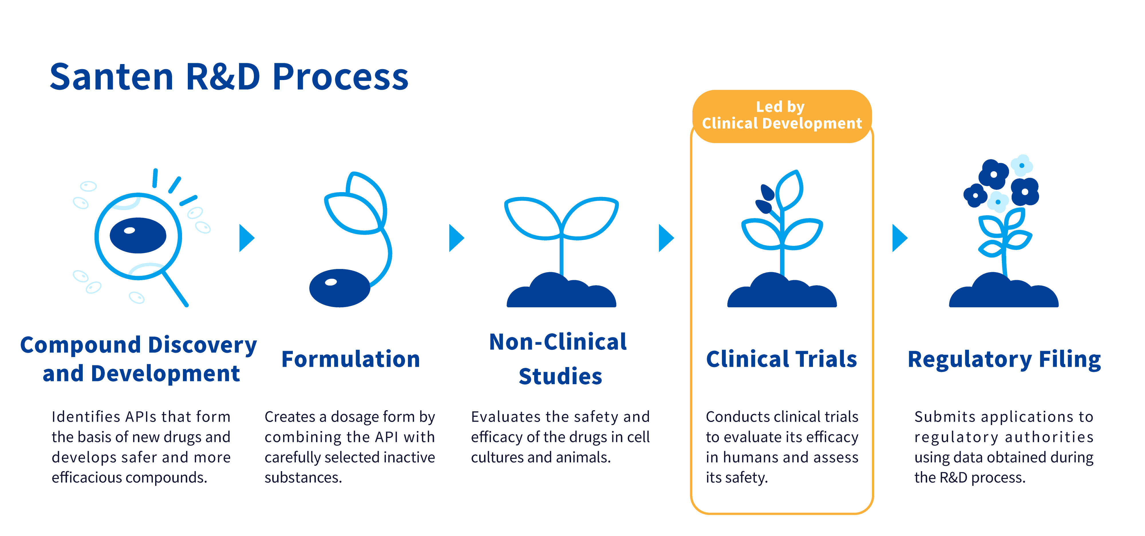 Diagram illustrating Santen's R&D process  From left: Compound Discovery and Development → Formulation → Non-Clinical Studies → Clinical Trials → Regulatory Filing