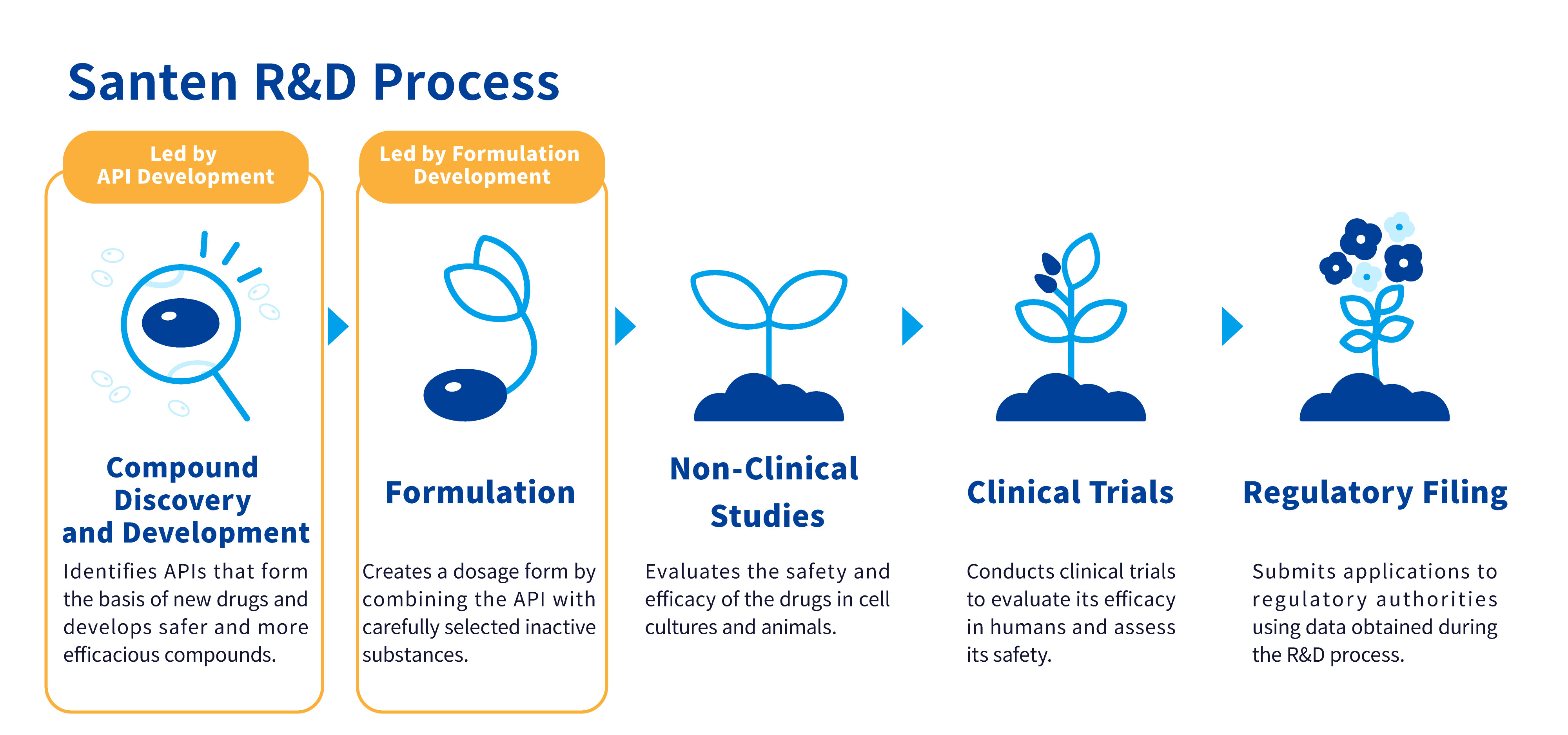 Diagram illustrating Santen's R&D process 
From left: Compound Discovery and Development → Formulation → Non-Clinical Studies → Clinical Trials → Regulatory Filing