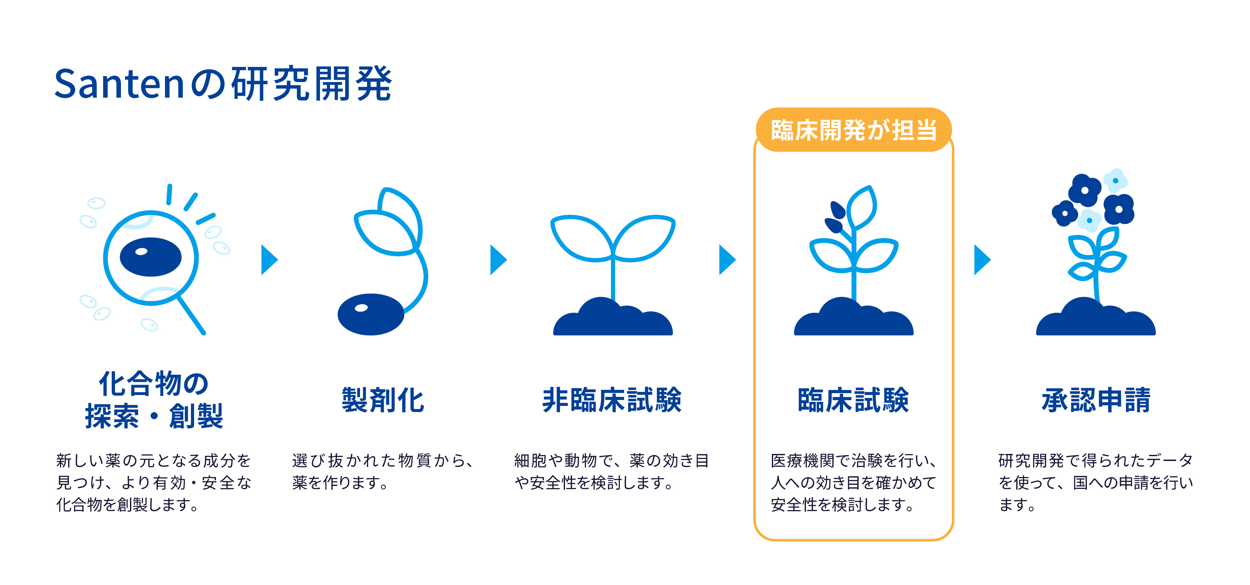 Santenの研究開発プロセスについて説明する画像。化合物の探索・創製、製剤化、非臨床試験、臨床試験、承認申請の順で進む。