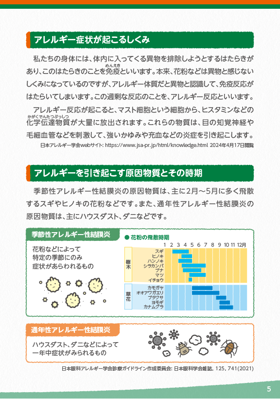 アレルギー性結膜炎の症状が起こるしくみ2