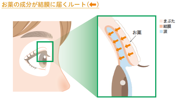 お薬が目の中に届くルート