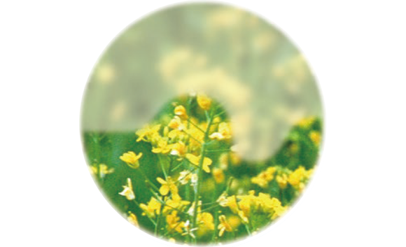 見えない部分が増えてきます。視野中心の4分の1程度が欠けると、見えにくいと異常を感じるようになります。