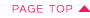 pagetop