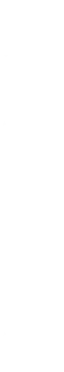 その目だ。