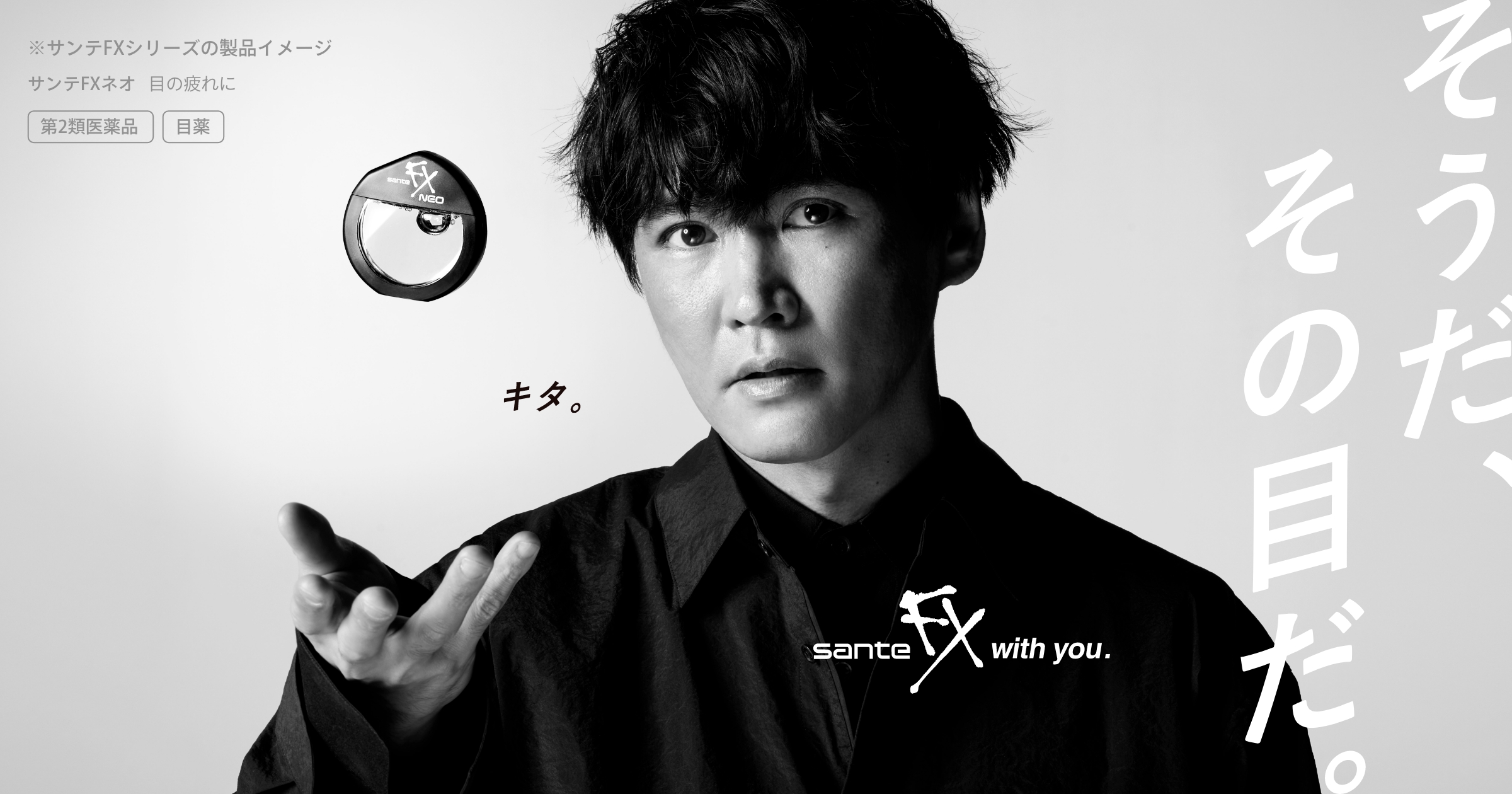 サンテFX｜ブランドサイト | 参天製薬日本サイト