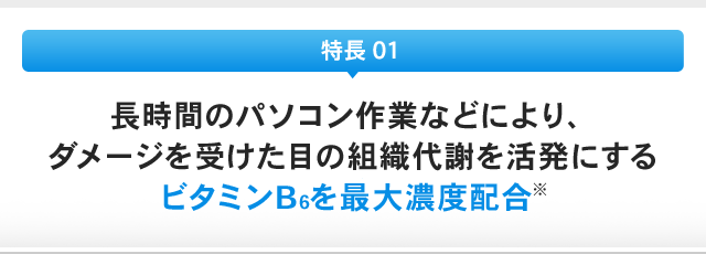 特長 01：長時間のパソコン作業などにより、ダメージを受けた目の組織代謝を活発にするビタミンB6を最大濃度配合※