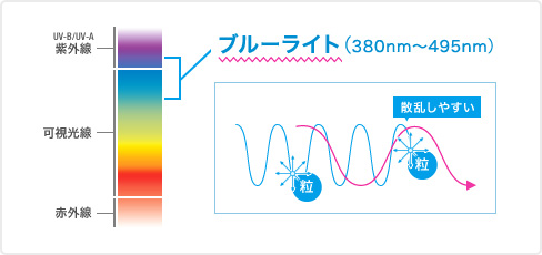 ブルーライト（380nm～495nm）