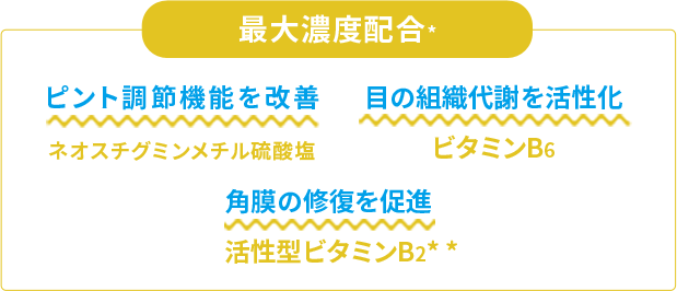 ピント調節機能を改善　ネオスチグミンメチル硫酸塩　目の組織代謝を活性化　ビタミンB6　角膜の修復を促進　活性型ビタミンB2**