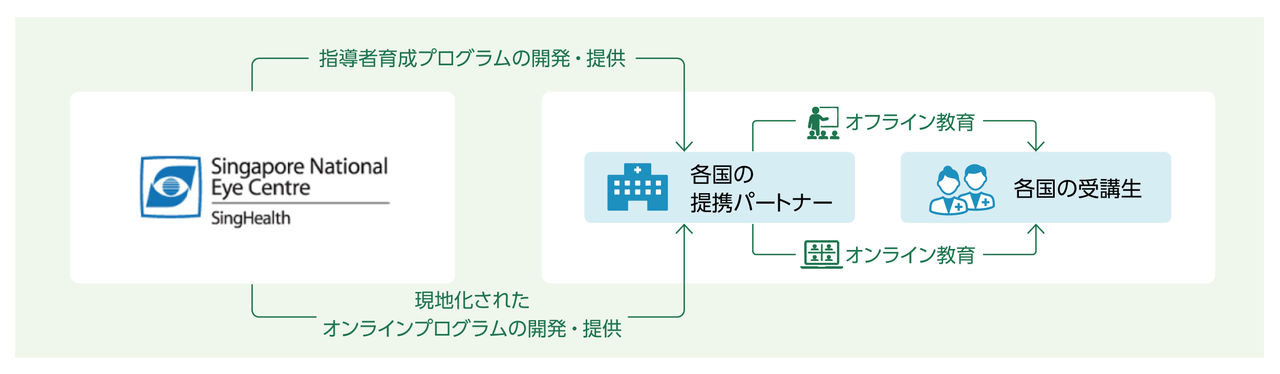 眼科医療従事者への教育プログラム提供の全体像