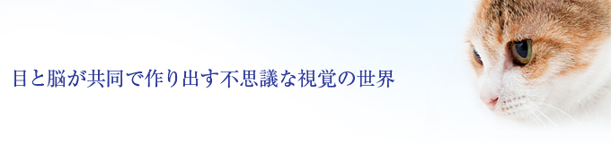 目と脳が共同で作り出す不思議な視覚の世界