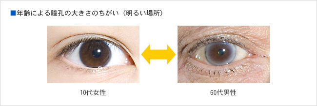 年齢による瞳孔の大きさのちがい（明るい場所）