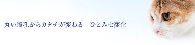 丸い瞳孔からカタチが変わる ひとみ七変化