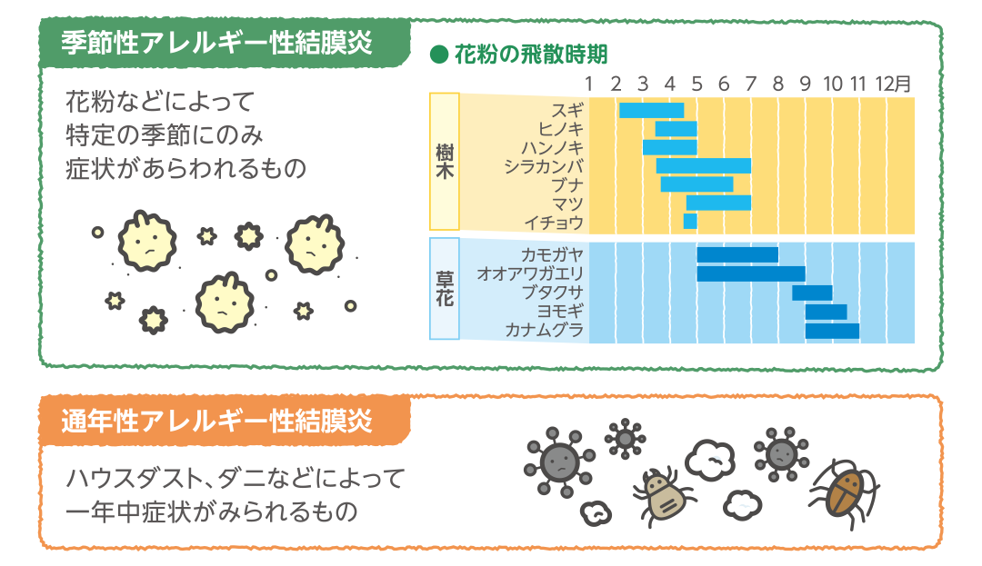 アレルギーを引き起こす原因物質とその時期のイラスト