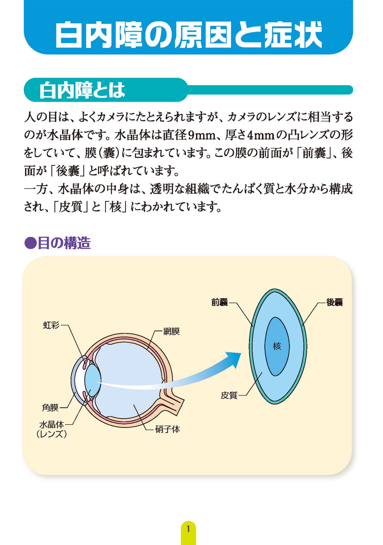 白内障の原因と症状