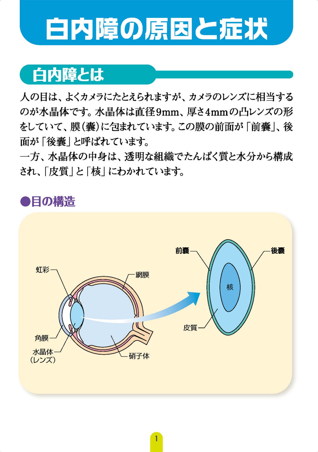 白内障の原因と症状