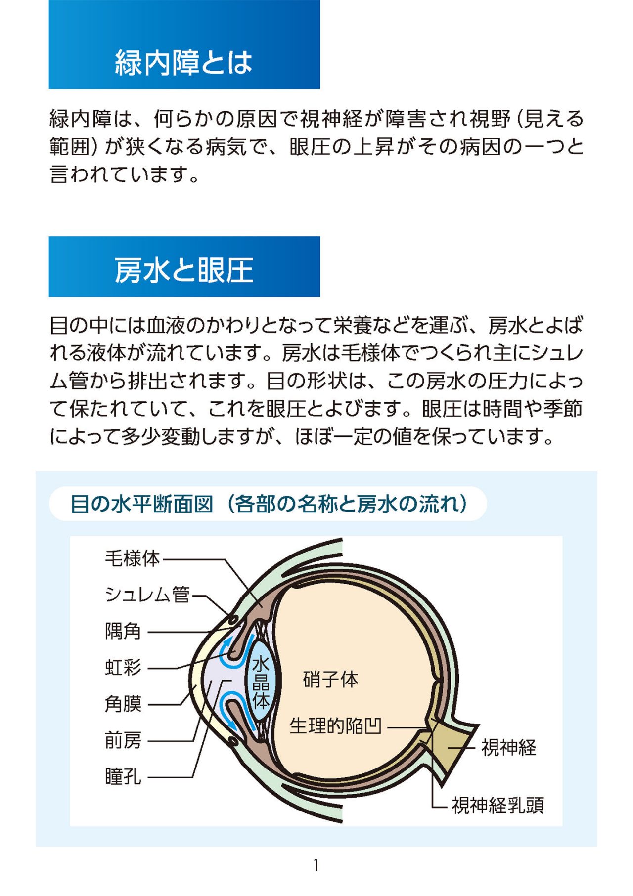 小冊子：緑内障 | 参天製薬日本サイト