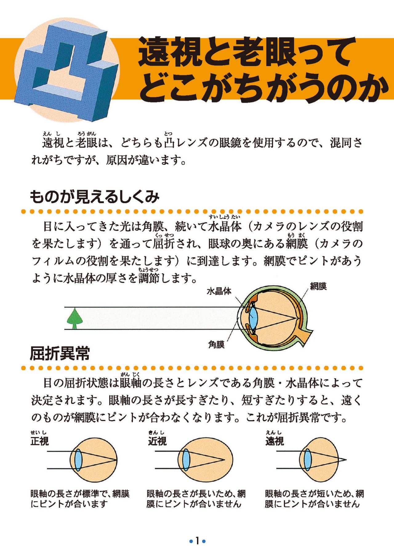 遠視と老眼ってどこがちがうのかな？