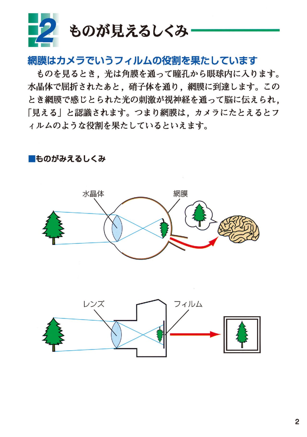 ものが見えるしくみ