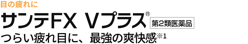 目の疲れに　サンテFX Vプラス