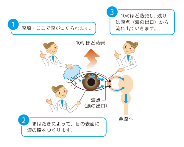 涙が涙腺で作られ、瞬きによって涙の膜がつくられ、涙点から流れ出す様子を説明した図