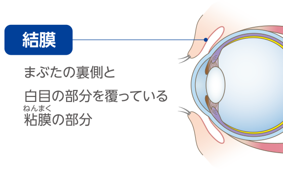 目のかゆみで目元を両手でこする男性のイラスト
